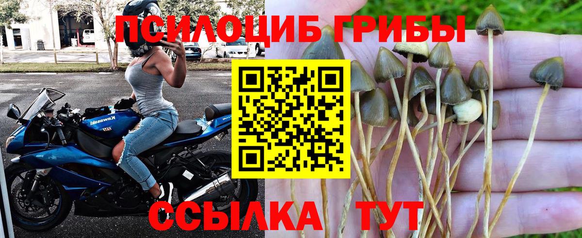 Галлюциногенные грибы ЛСД  Вход с VPN  Кулебаки 